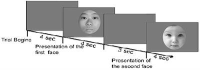 Effects of Baby Schema and Mere Exposure on Explicit and Implicit Face Processing